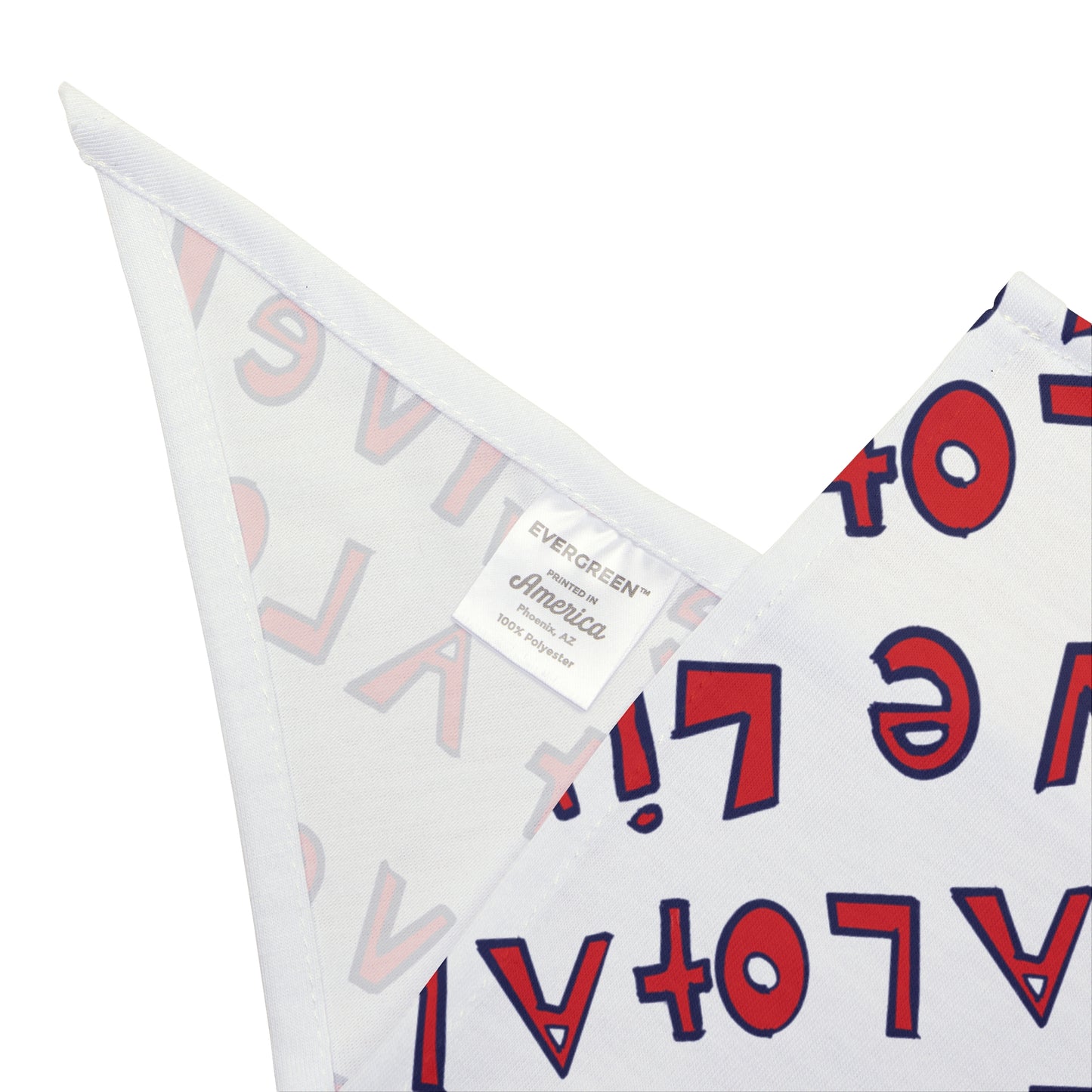 LIVE A LOT - Dog Bandana – A Little Accessory with Big Personality