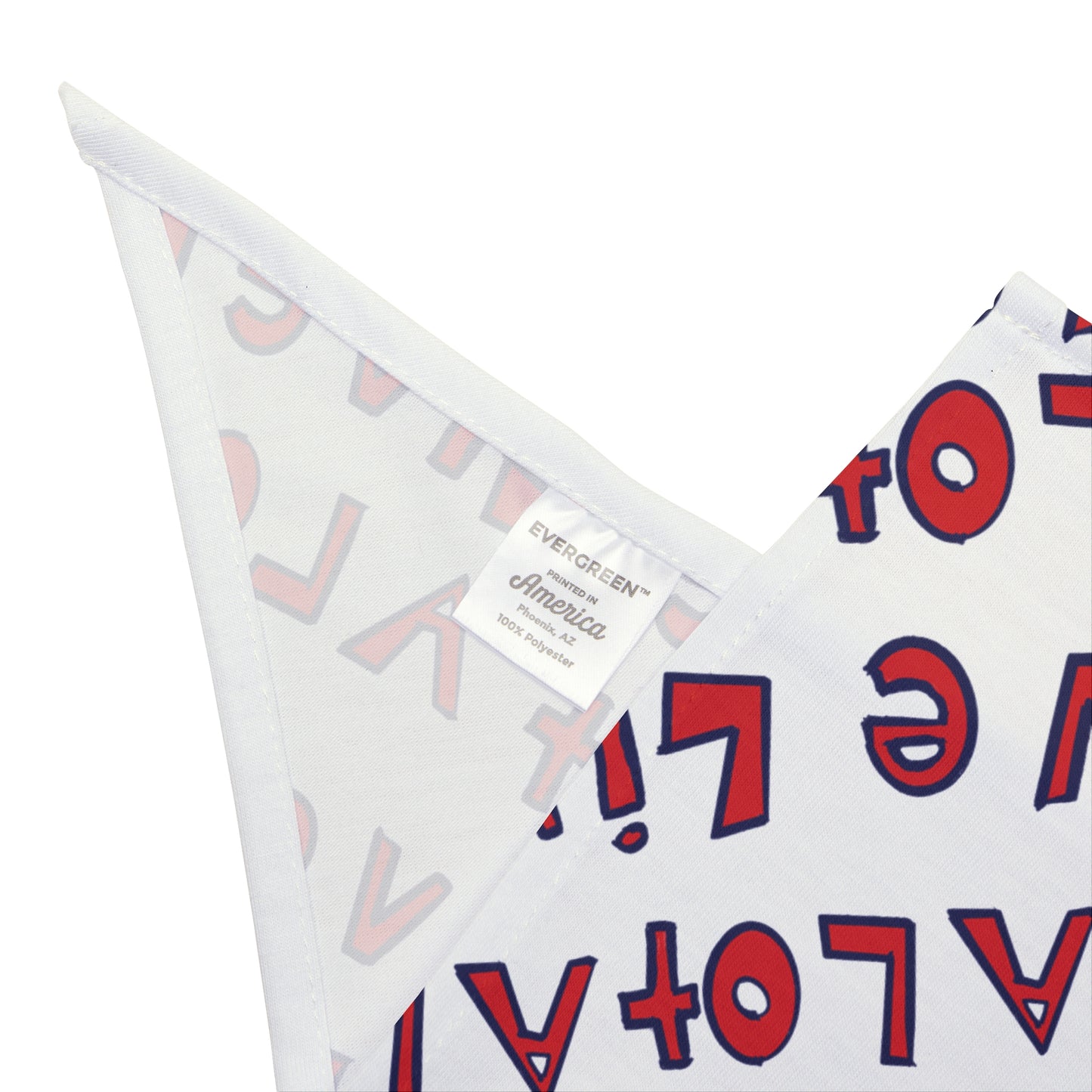 LIVE A LOT - Dog Bandana – A Little Accessory with Big Personality