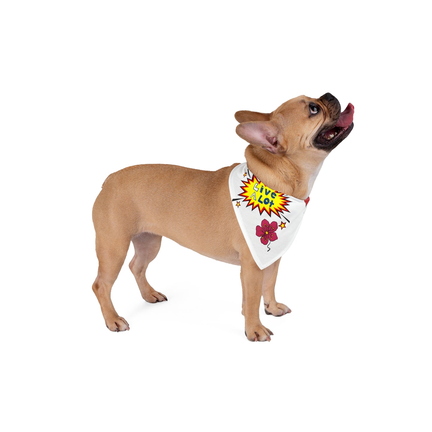 LIVE A LOT - Dog Bandana – A Little Accessory with Big Personality